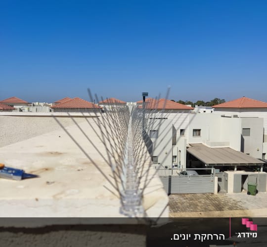 דוקרנים למניעת יונים על גג מבנה